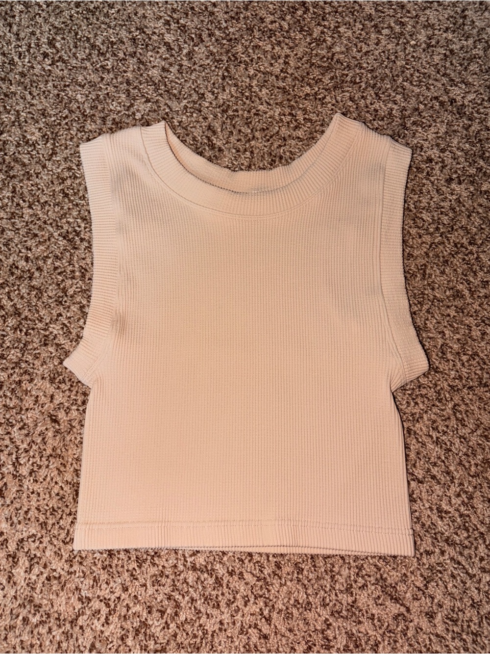 Sleeveless Fitted Ribbed Crop Top